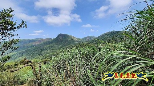 草山南峰-南草山-雞母嶺古道 (23).jpg