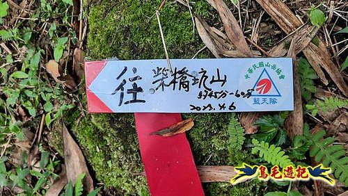 嶺腳車站至柴橋坑山、姜南山縱走去回 (8).jpg