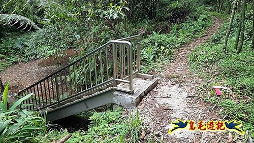 嶺腳車站至柴橋坑山、姜南山縱走去回 (9).jpg