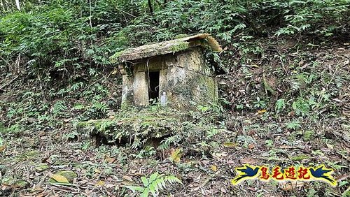 嶺腳車站至柴橋坑山、姜南山縱走去回 (11).jpg