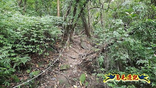 嶺腳車站至柴橋坑山、姜南山縱走去回 (14).jpg