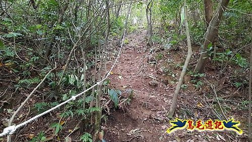 嶺腳車站至柴橋坑山、姜南山縱走去回 (15).jpg