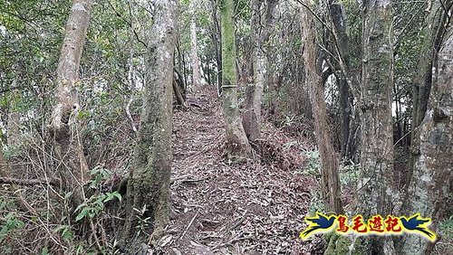 嶺腳車站至柴橋坑山、姜南山縱走去回 (18).jpg