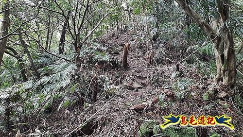 嶺腳車站至柴橋坑山、姜南山縱走去回 (23).jpg