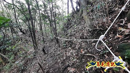 嶺腳車站至柴橋坑山、姜南山縱走去回 (27).jpg