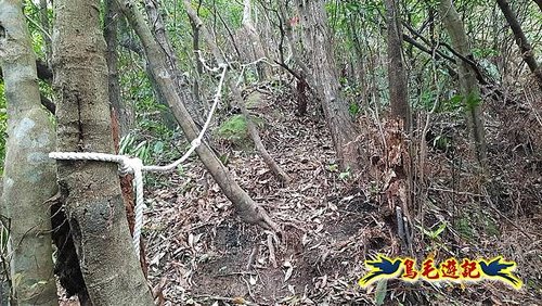 嶺腳車站至柴橋坑山、姜南山縱走去回 (29).jpg