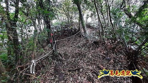 嶺腳車站至柴橋坑山、姜南山縱走去回 (28).jpg