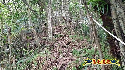 嶺腳車站至柴橋坑山、姜南山縱走去回 (30).jpg