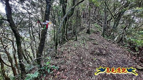 嶺腳車站至柴橋坑山、姜南山縱走去回 (31).jpg