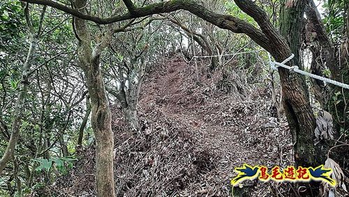 嶺腳車站至柴橋坑山、姜南山縱走去回 (33).jpg