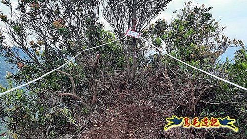 嶺腳車站至柴橋坑山、姜南山縱走去回 (35).jpg