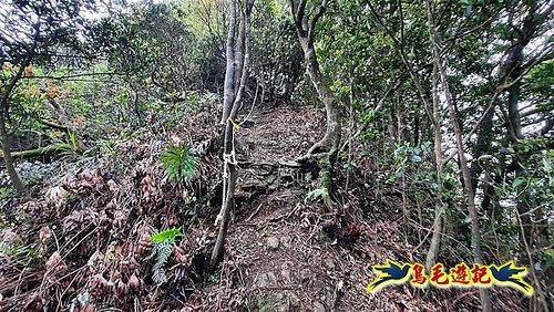 嶺腳車站至柴橋坑山、姜南山縱走去回 (40).jpg