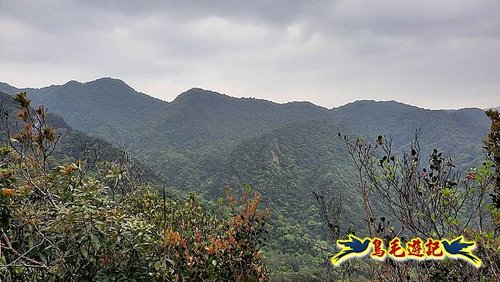 嶺腳車站至柴橋坑山、姜南山縱走去回 (42).jpg