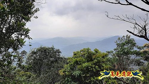 嶺腳車站至柴橋坑山、姜南山縱走去回 (43).jpg