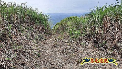 磐石嶺-石硿大崙-姜子寮山-中窯尖-溪畔古道-嶺腳車站 (28).jpg