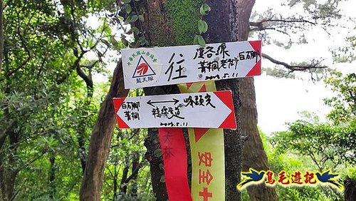 平溪白石腳-峰頭尖-忘憂古道O形 (52).jpg