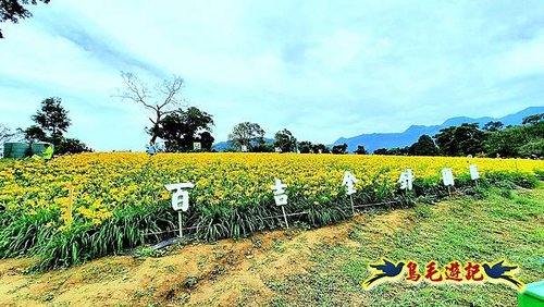 桃園百吉休閒農場-忘憂山丘 (7).jpg