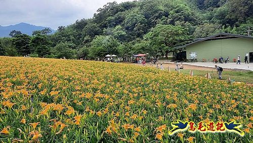 桃園百吉休閒農場-忘憂山丘 (11).jpg