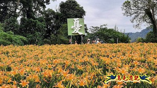 桃園百吉休閒農場-忘憂山丘 (15).jpg