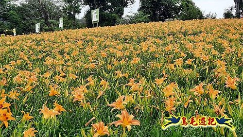 桃園百吉休閒農場-忘憂山丘 (27).jpg