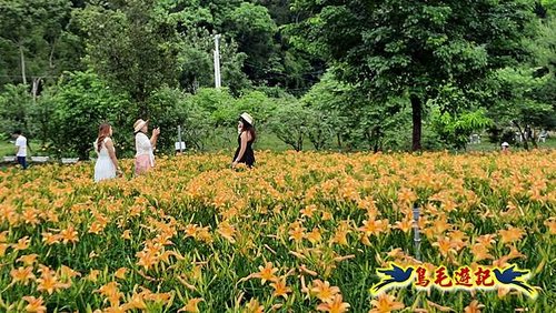 桃園百吉休閒農場-忘憂山丘 (34).jpg