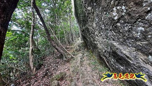 平溪石燭尖-九龍山-峰頭尖東峰-東勢格古道O形 (28).jpg