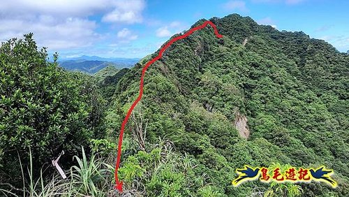 平溪石燭尖-九龍山-峰頭尖東峰-東勢格古道O形 (49).jpg