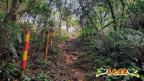 界寮縱走北段(基隆界寮-汐止柯子林山莊) (4).jpg