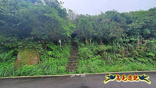 五指山古道(友蚋山南峰) (1).jpg