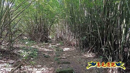 隆隆古道-隆隆山-三叉峰-福卯古道北線 (27).jpg