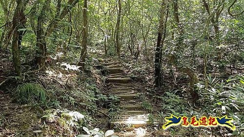 隆隆古道-隆隆山-三叉峰-福卯古道北線 (28).jpg