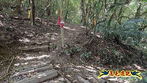 隆隆古道-隆隆山-三叉峰-福卯古道北線 (30).jpg