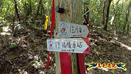 隆隆古道-隆隆山-三叉峰-福卯古道北線 (29).jpg