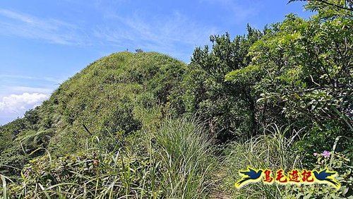 隆隆古道-隆隆山-三叉峰-福卯古道北線 (43).jpg