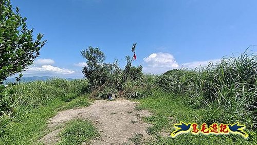 隆隆古道-隆隆山-三叉峰-福卯古道北線 (45).jpg