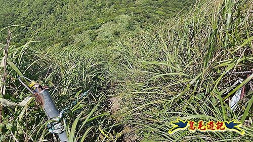 隆隆古道-隆隆山-三叉峰-福卯古道北線 (52).jpg