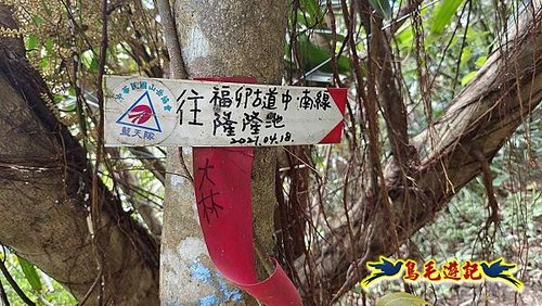 隆隆古道-隆隆山-三叉峰-福卯古道北線 (55).jpg