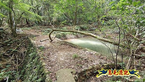 隆隆古道-隆隆山-三叉峰-福卯古道北線 (61).jpg