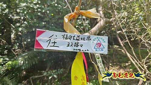 隆隆古道-隆隆山-三叉峰-福卯古道北線 (66).jpg