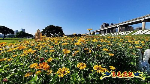 新北大都會公園花海%26;熊猴森樂園 (4).jpg