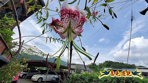 平溪滴水觀音-中窯尖-紅銹石古道O形 (73).jpg