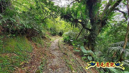 平溪慈恩嶺普陀山-峭壁上的精靈 (3).jpg