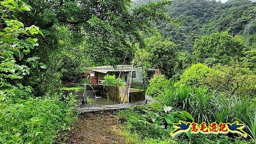 汐止加壽橋-槓尾山-四分尾山-茄冬古道O形 (7).jpg