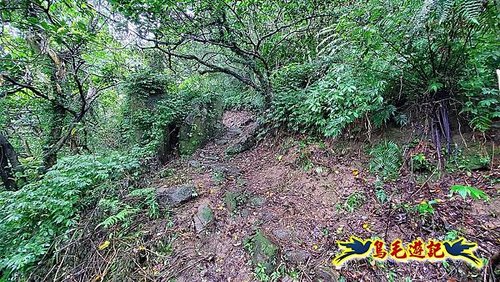 汐止加壽橋-槓尾山-四分尾山-茄冬古道O形 (27).jpg