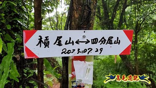 汐止加壽橋-槓尾山-四分尾山-茄冬古道O形 (31).jpg