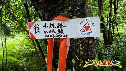 汐止加壽橋-槓尾山-四分尾山-茄冬古道O形 (32).jpg