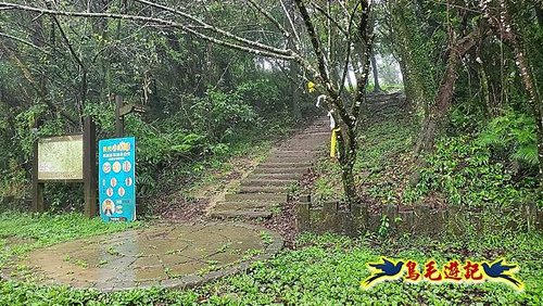 汐止加壽橋-槓尾山-四分尾山-茄冬古道O形 (40).jpg