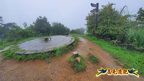 汐止加壽橋-槓尾山-四分尾山-茄冬古道O形 (41).jpg