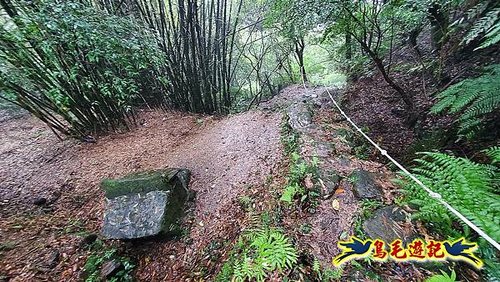 汐止加壽橋-槓尾山-四分尾山-茄冬古道O形 (44).jpg