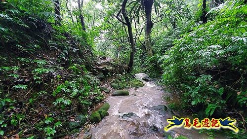 汐止加壽橋-槓尾山-四分尾山-茄冬古道O形 (47).jpg